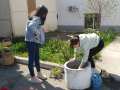Субботник 5