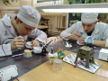 IMG_20200306_105533