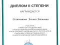 Диплом - Селяметова_page-0001