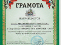 Новое изображение_600