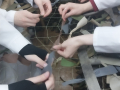 4uvmm7eex-qytsegtwxicf5ist8r2vk3yhumjjsjerevbx8p7_iyyy7k8pwfnn8qzjqwdmw9nqladciypyaifpdn