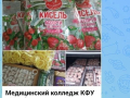 nphqgxjg3kth929i2wgr7kraraex6cpljv9spsvsgq-rwmnclijb2ki9nkouyng89zuy67gd2tebtoa-ns55ycls