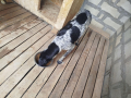 uzea5mfegol-zqlojuppn4ekd01fl5b6rk4z7ebk8o1bb08pvpsq5_1cp49u_m9zvroac9qxhatltb5rkm54uk33